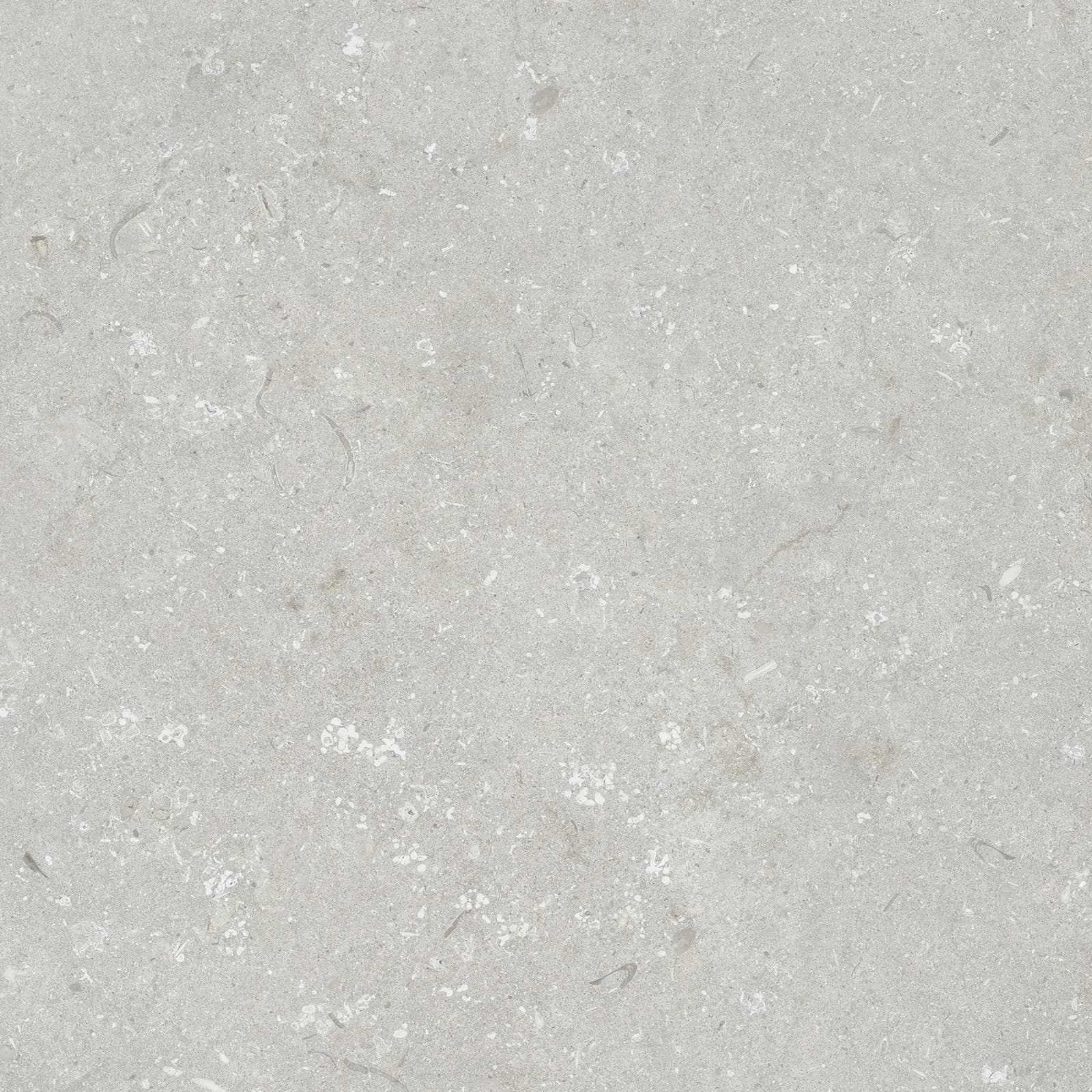 Ultra Shellstone Bianco