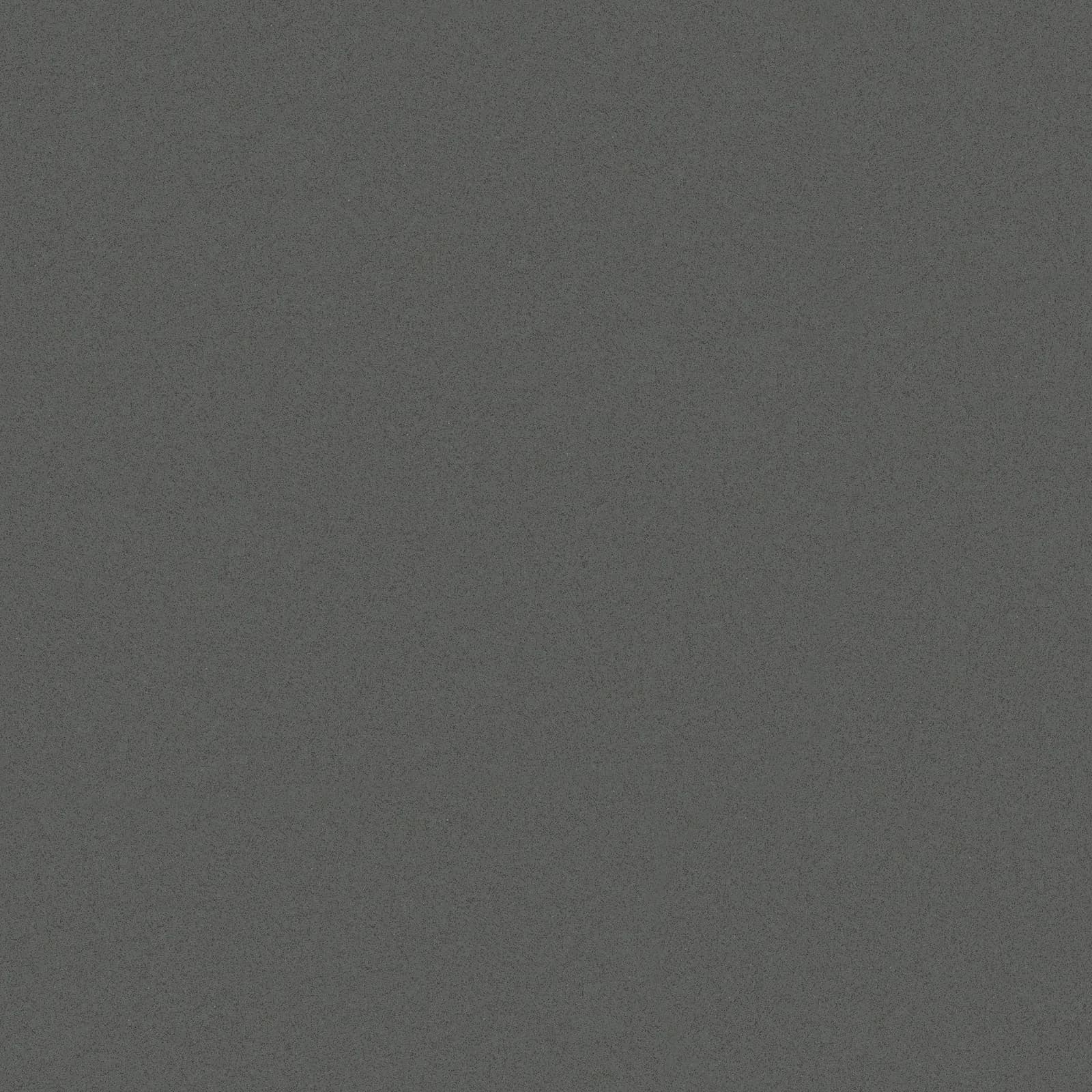 Unicolor Dark Grey