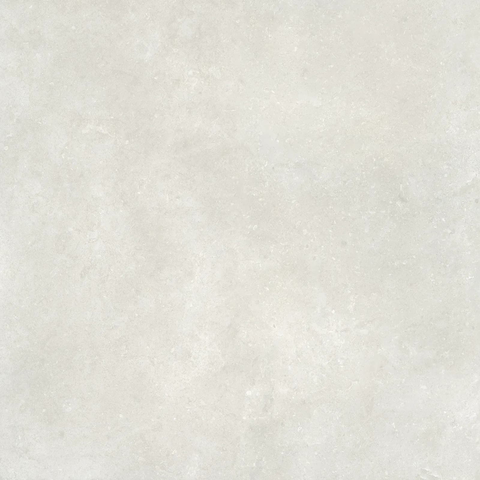Serica Bone