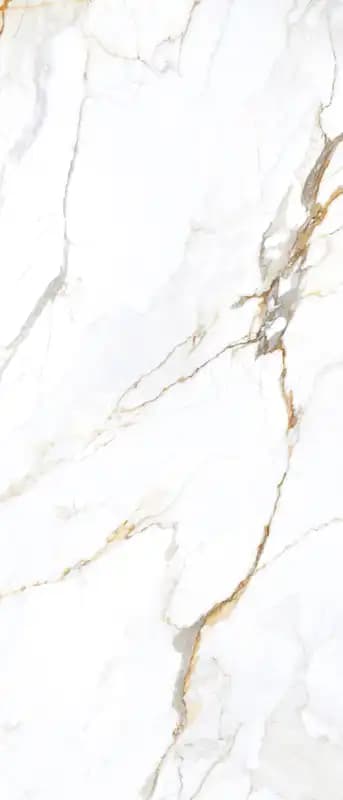 Apollo White