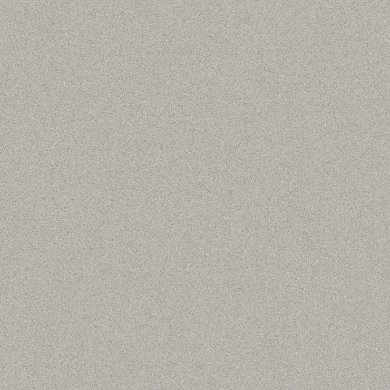Unicolor Light Grey